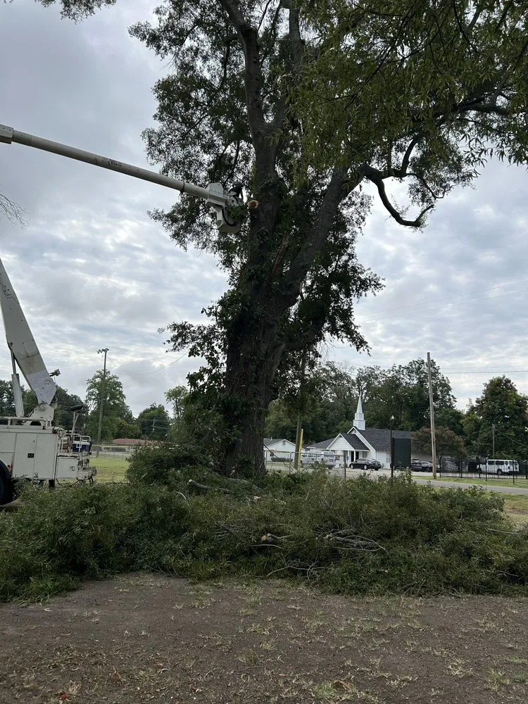 Reliable lawn care service near you in Indianola, MS by Marco’s Lawncare