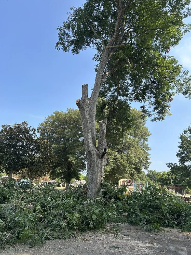 Local outdoor landscaping for homes across Indianola, MS - Marco’s Lawncare