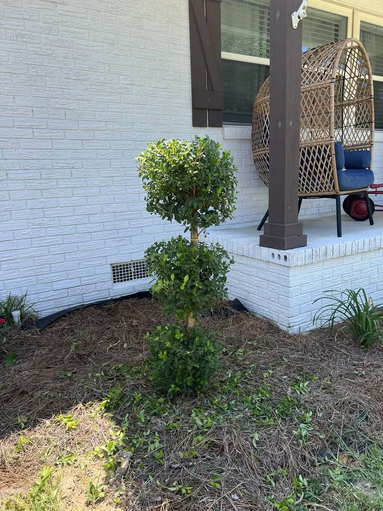 Affordable landscape installation for beautiful yards in Ray City, GA by Marcos Lawncare Service