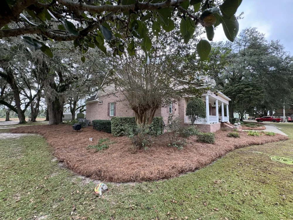 Top-rated yard cleanup service in Ray City, GA - Marcos Lawncare Service