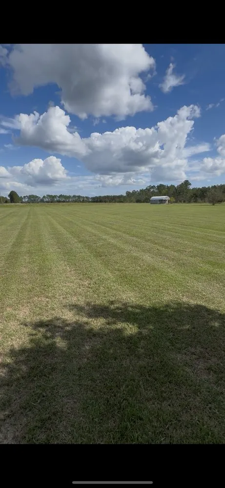 Professional yard cleanup service for homes across Ray City, GA - Marcos Lawncare Service