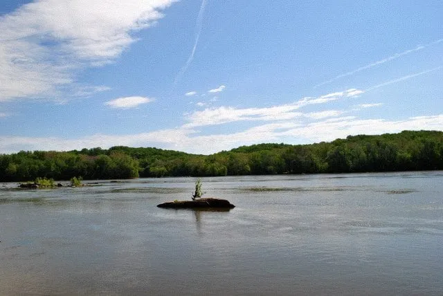 Reliable garden landscaping for year-round maintenance in Ray City, GA by Marcos Lawncare Service