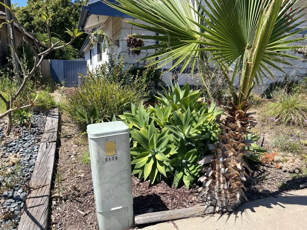 Local garden landscaping for beautiful yards in San Diego, CA by Marcos Maintenance