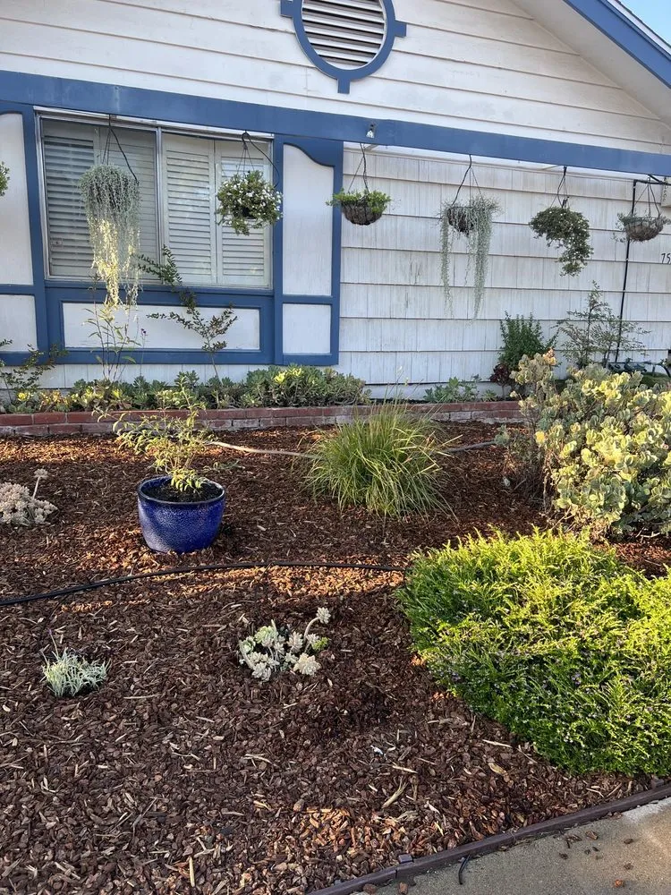 Custom landscape design for residential properties across San Diego, CA - Marcos Maintenance
