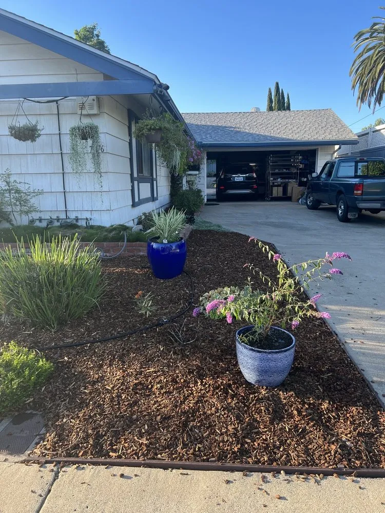 Trusted landscape design for homes across San Diego, CA - Marcos Maintenance