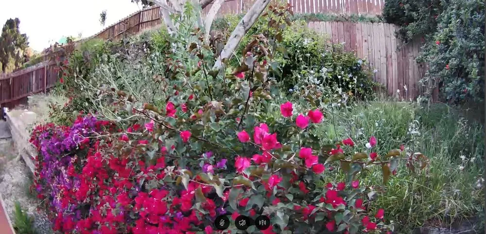 Local outdoor landscaping in San Diego, CA - Marcos Maintenance