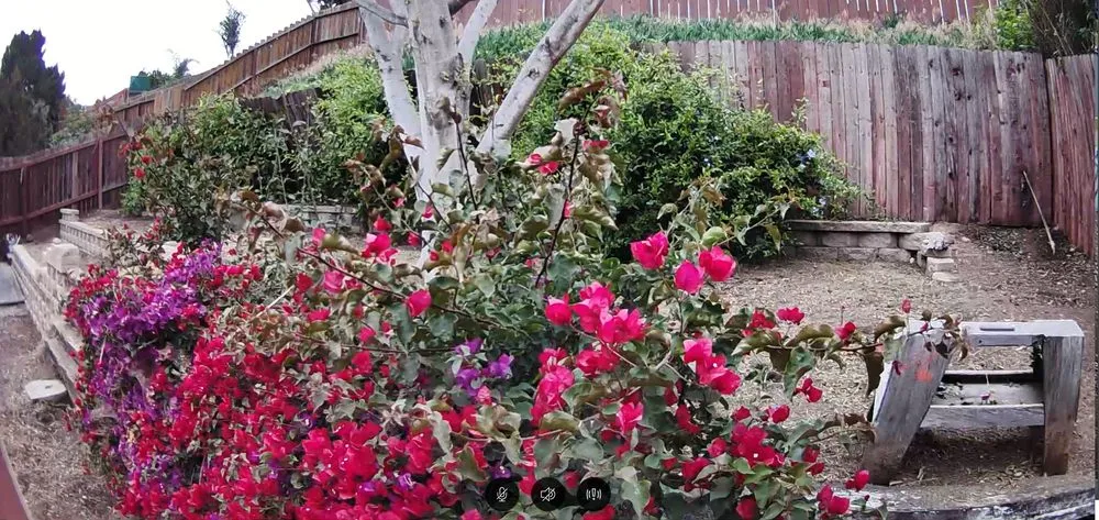 Top-rated lawn mowing service in San Diego, CA - Marcos Maintenance