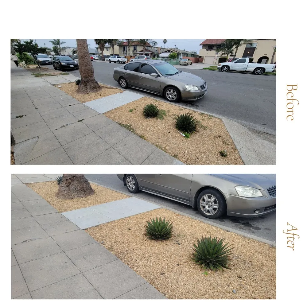 Professional lawn mowing service experts serving San Diego, CA - Marcos Maintenance