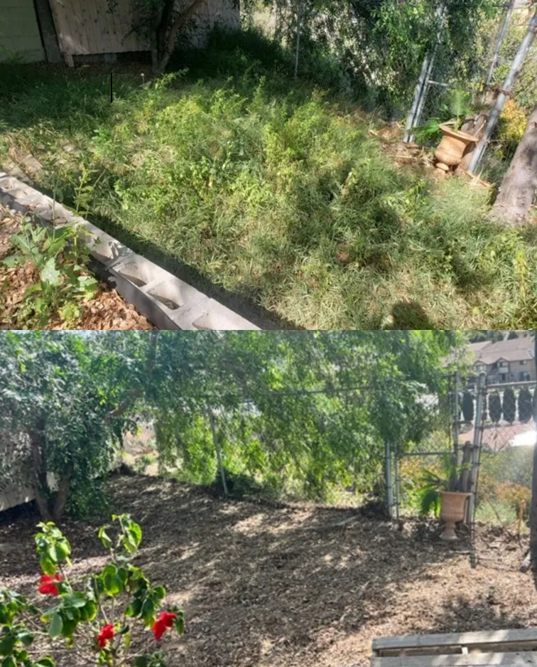 Top-rated landscape design in San Diego, CA - Marcos Maintenance