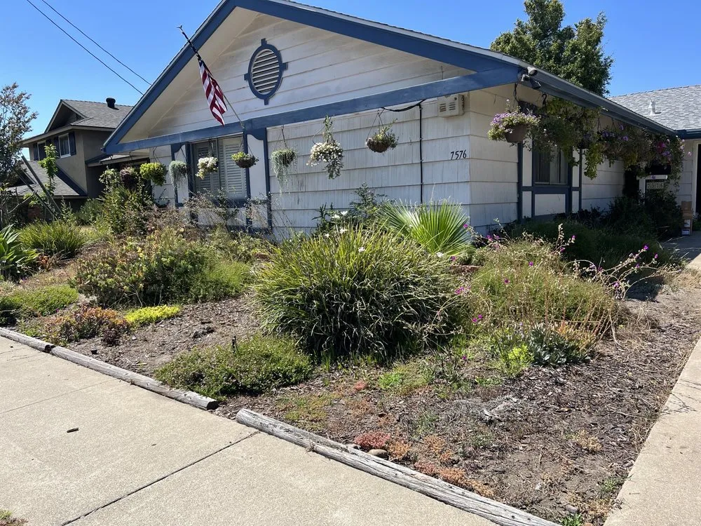 Expert lawn mowing service for outdoor upgrades across San Diego, CA - Marcos Maintenance