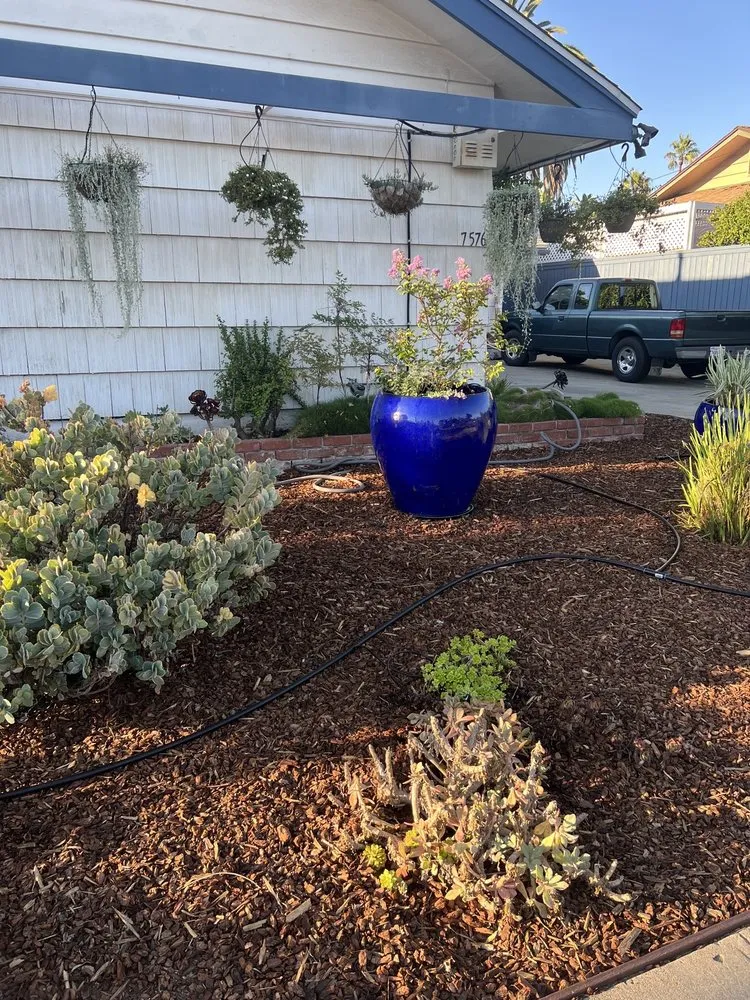 Trusted landscaping services in San Diego, CA - Marcos Maintenance