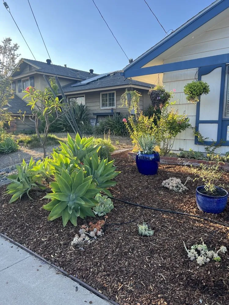 Trusted landscape design experts serving San Diego, CA - Marcos Maintenance