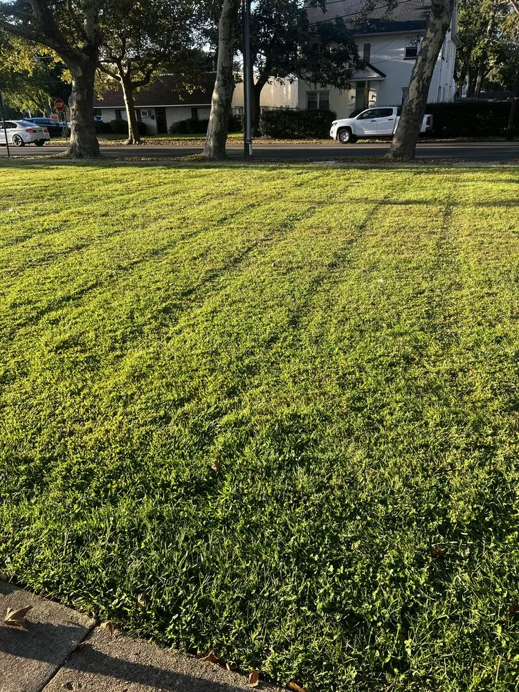 Affordable lawn care service near you across Bristol, PA - Marcos Rangel