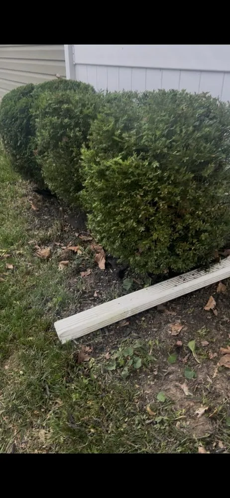 Affordable residential landscaping for homes across Bristol, PA - Marcos Rangel