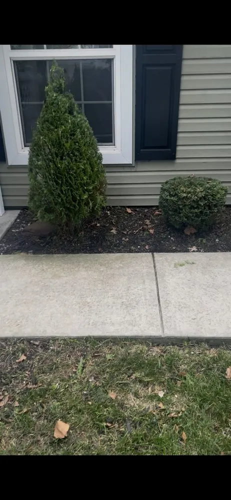 Expert outdoor landscaping experts serving Bristol, PA - Marcos Rangel