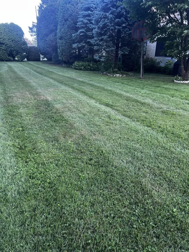 Expert yard maintenance experts serving Bristol, PA - Marcos Rangel