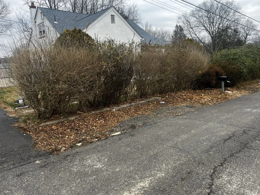 Expert landscape design for beautiful yards in Bristol, PA by Marcos Rangel