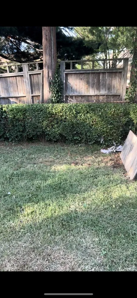 Professional garden landscaping for homes across Bristol, PA - Marcos Rangel