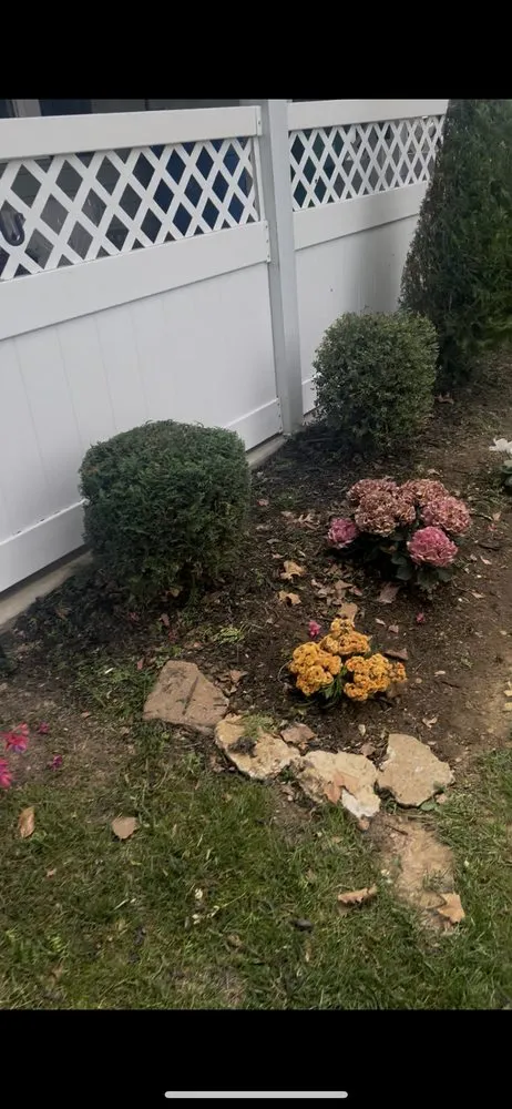 Expert lawn care service experts serving Bristol, PA - Marcos Rangel