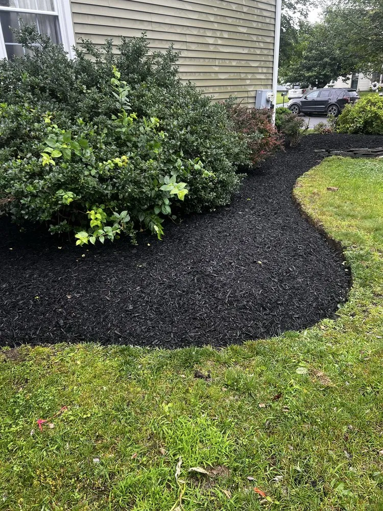 Trusted lawn mowing service for beautiful yards in Bristol, PA by Marcos Rangel