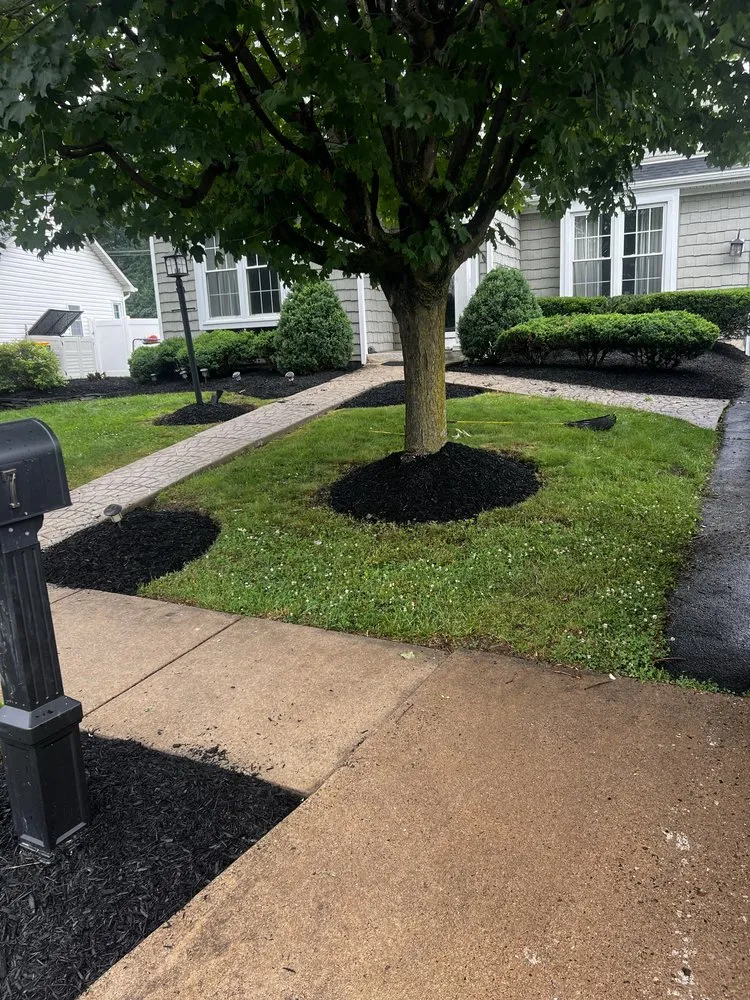 Trusted garden landscaping for homes across Bristol, PA - Marcos Rangel