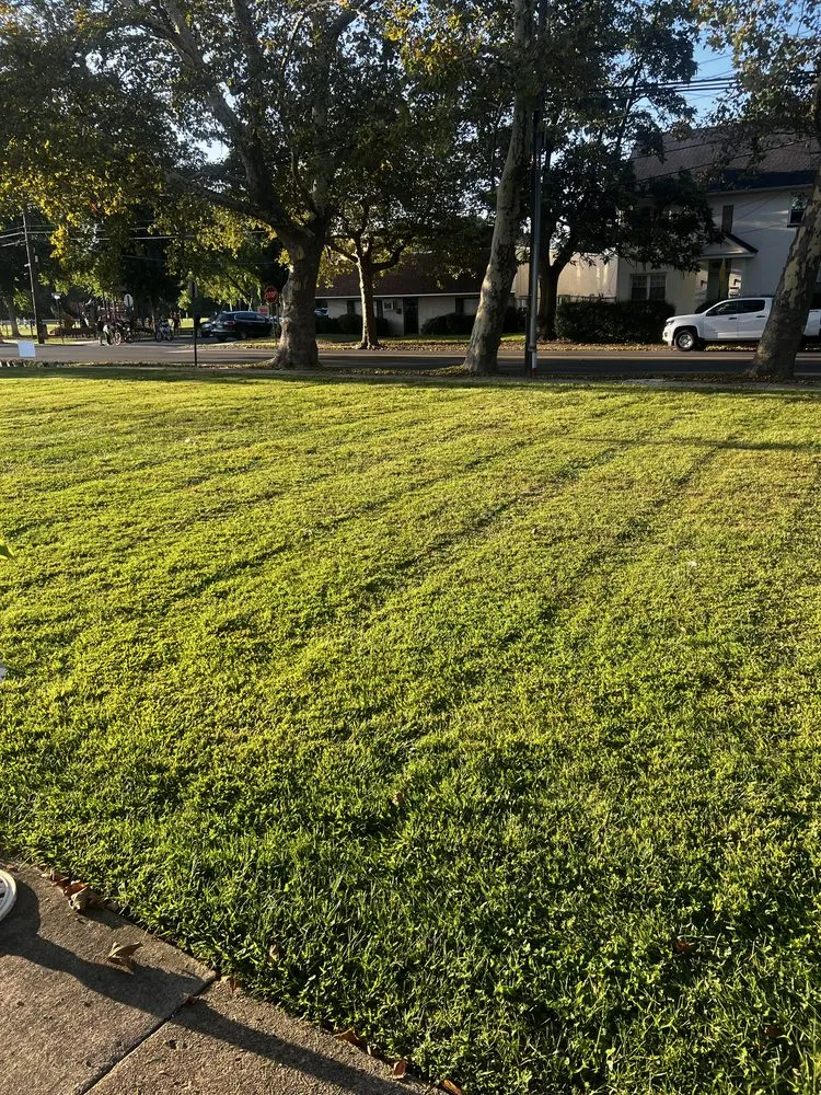 Trusted landscape design experts serving Bristol, PA - Marcos Rangel