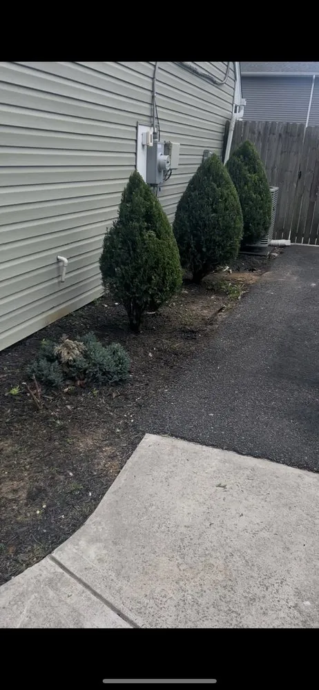 Professional lawn care service in Bristol, PA - Marcos Rangel