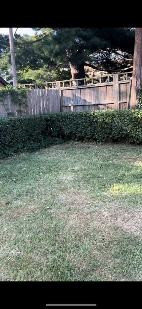 Professional yard maintenance in Bristol, PA - Marcos Rangel