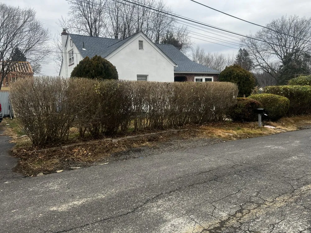 Affordable outdoor landscaping in Bristol, PA by Marcos Rangel