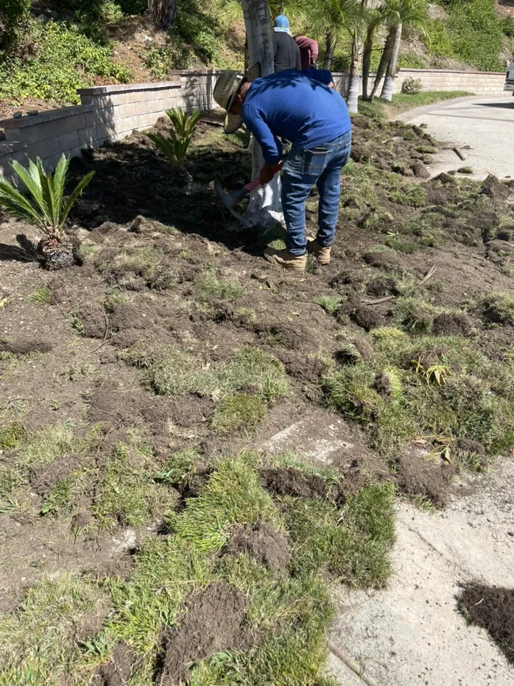 Top-rated landscaping services in Fallbrook, CA - Marcos Santos Landscaping & Gardening Service