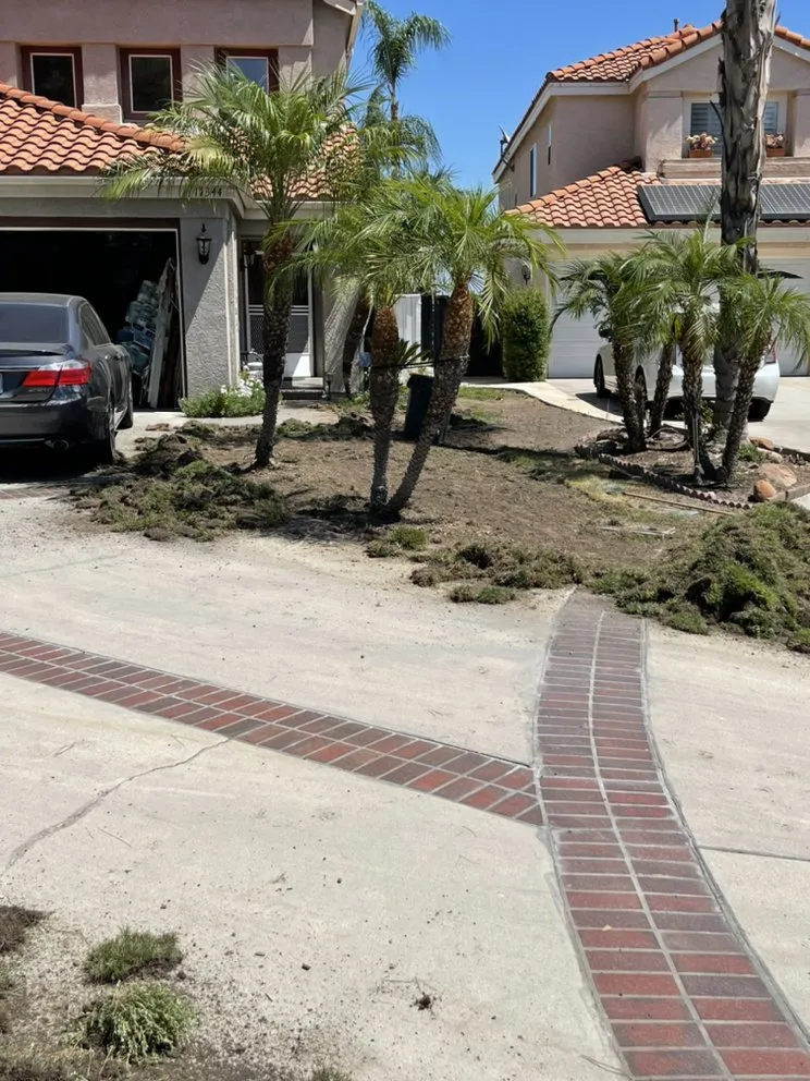 Affordable landscape installation in Fallbrook, CA by Marcos Santos Landscaping & Gardening Service