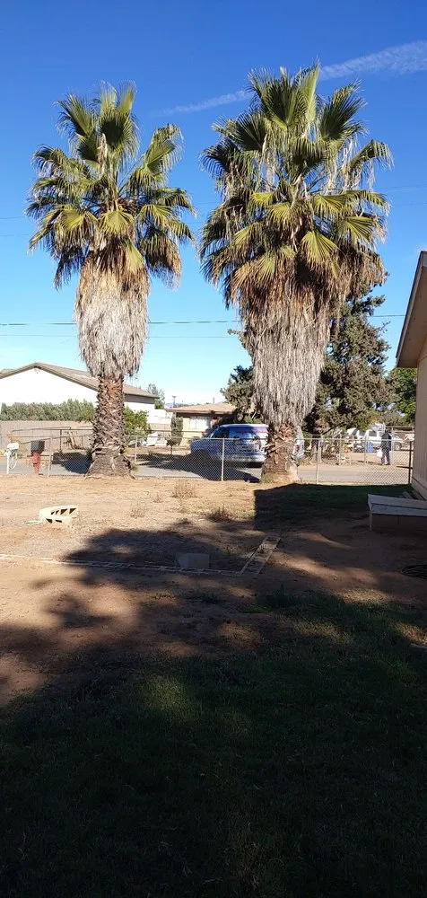 Affordable garden landscaping experts serving Fallbrook, CA - Marcos Santos Landscaping & Gardening Service