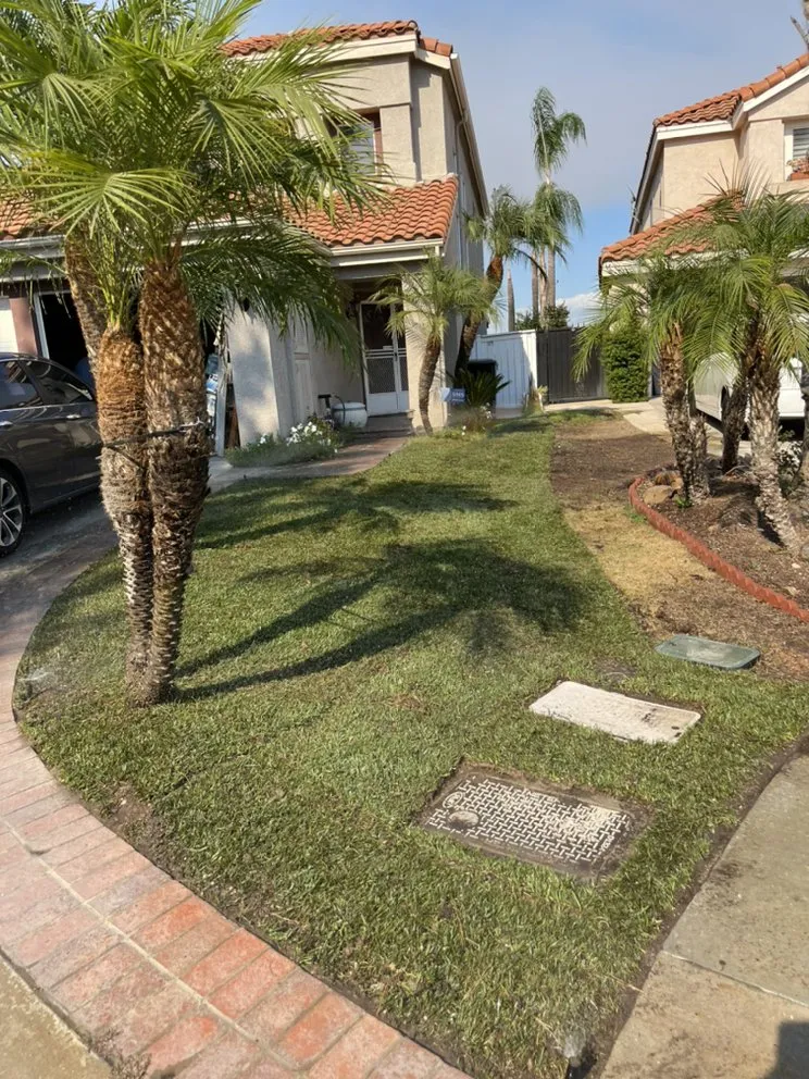 Custom garden landscaping in Fallbrook, CA - Marcos Santos Landscaping & Gardening Service