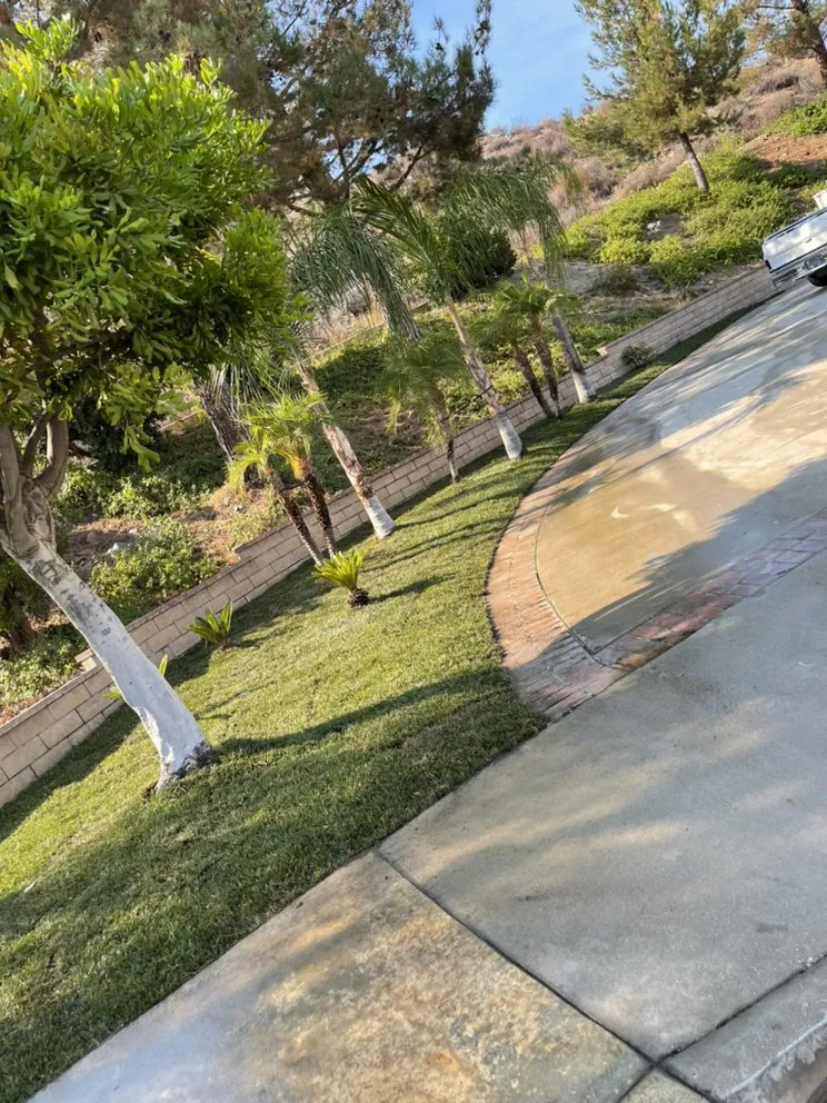 Professional lawn mowing service with custom design across Fallbrook, CA - Marcos Santos Landscaping & Gardening Service