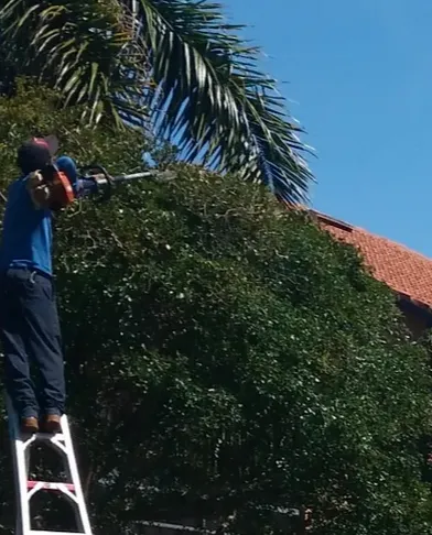 Expert outdoor landscaping experts serving Bonita Springs, FL - Marcos Tree Service