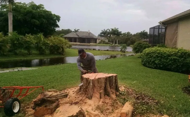 Local residential landscaping in Bonita Springs, FL by Marcos Tree Service