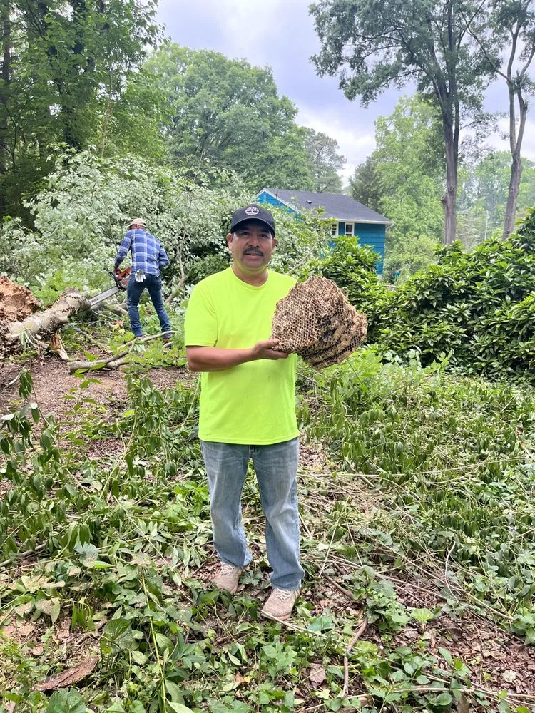 Expert outdoor landscaping experts serving Raleigh, NC - Marcos V Landscaping