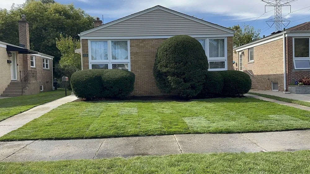 Top-rated outdoor landscaping for year-round maintenance in Chicago, IL by Marcos’s Landscaping