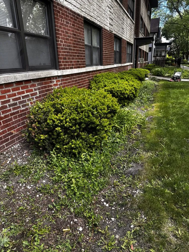 Top-rated lawn mowing service experts serving Chicago, IL - Marcos’s Landscaping