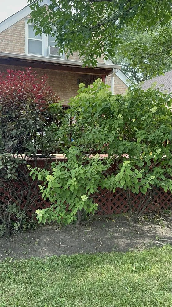 Trusted residential landscaping in Chicago, IL - Marcos’s Landscaping