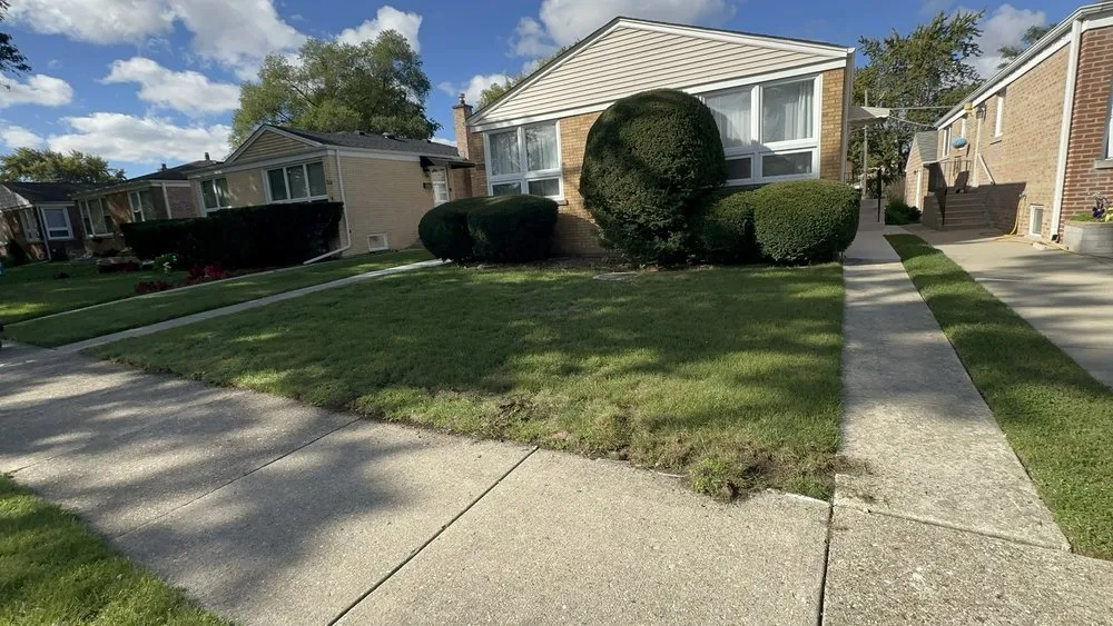 Trusted yard maintenance near you in Chicago, IL by Marcos’s Landscaping