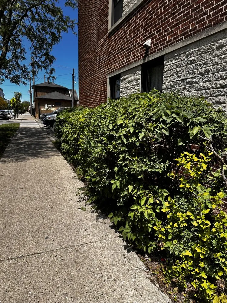 Professional yard maintenance near you in Chicago, IL by Marcos’s Landscaping