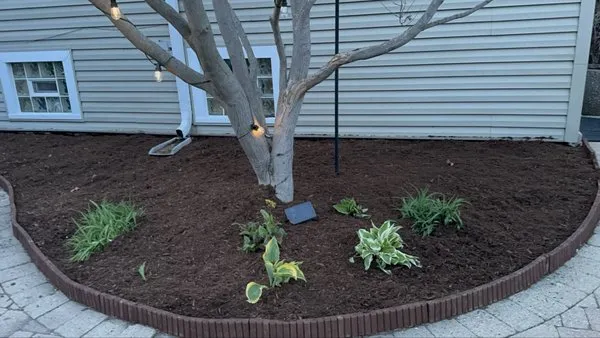 Marcos’s Landscaping Logo