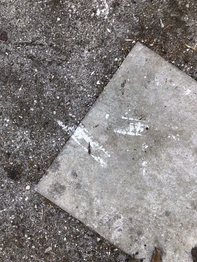 Custom landscape installation for year-round maintenance in Redwood City, CA by Marcos's Work