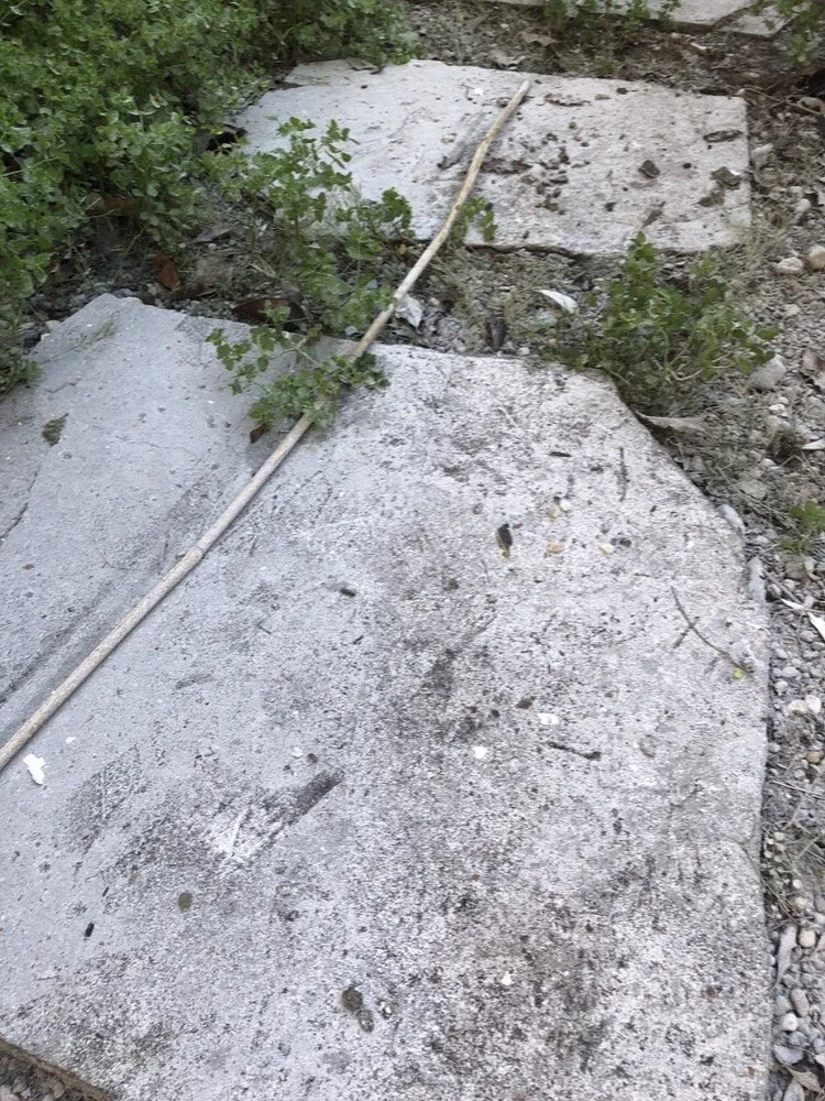 Professional lawn care service in Redwood City, CA - Marcos's Work