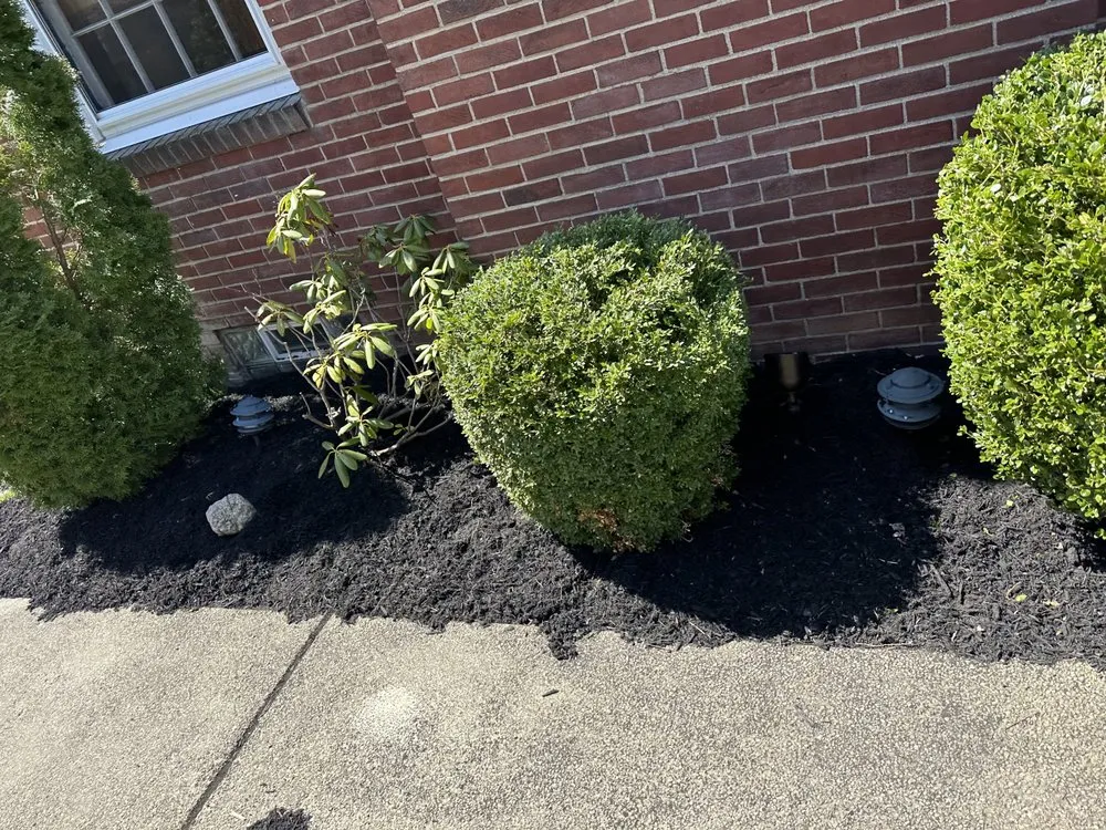 Professional landscaping services in Kenmore, NY by Marc's Landscaping and Design