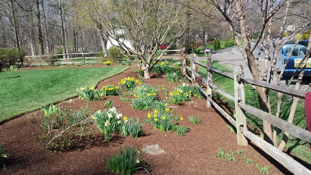 Reliable yard maintenance for homes across Fairfax, VA - Marc's Lawn Care