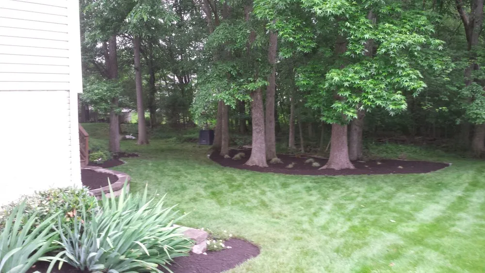 Expert lawn mowing service in Fairfax, VA - Marc's Lawn Care