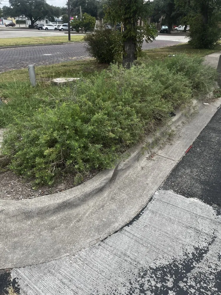 Local landscape installation in Temple, TX - Marc’s Lawn Care