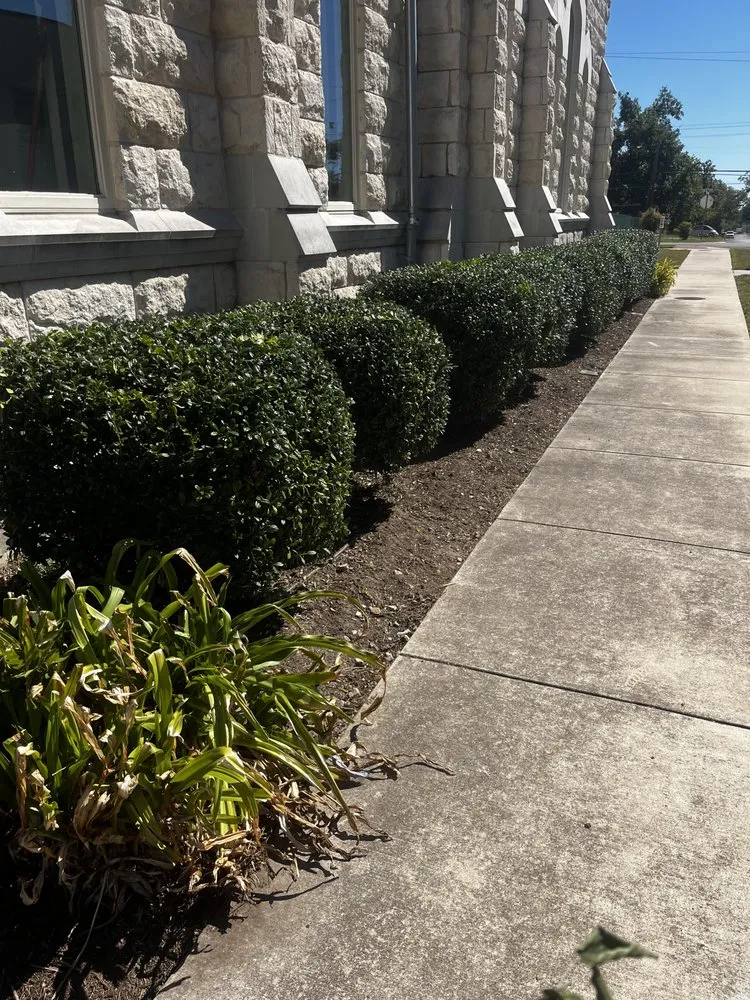 Reliable residential landscaping for outdoor upgrades in Temple, TX by Marc’s Lawn Care